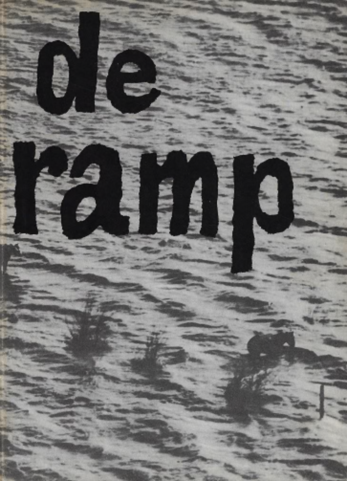 Kaft van De Ramp